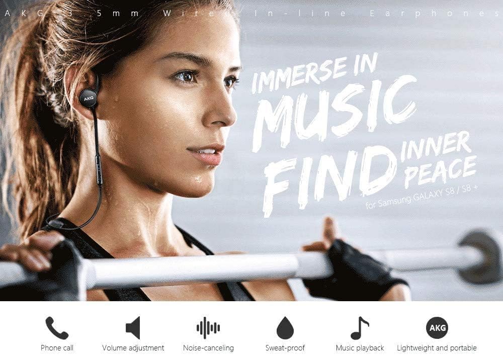 SAMSUNG Earphones USB Type-C EO-IC100, Sound by AKG, In-ear Headset Black, Wired