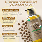Majestic Pure USDA Organic Castor Oil | Hexane Free & 100% Pure | Cold Pressed | Stimulate Growth for Hair, Eyelashes, Eyebrows, Nails | Moisturizing & Nourishing | Body, Hair & Carrier Oil | 8 Fl Oz